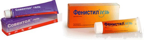 Аллергия на клещи - Как вылечить аллергию Аллергия на клещи - Как вылечить аллергию