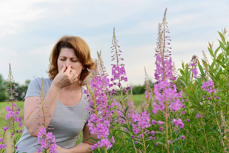 Аллергия у носа как вылечить thumbnail