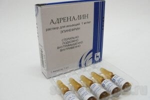 Аптечка при анафилактическом шоке состав - Как вылечить аллергию Аптечка при анафилактическом шоке состав - Как вылечить аллергию
